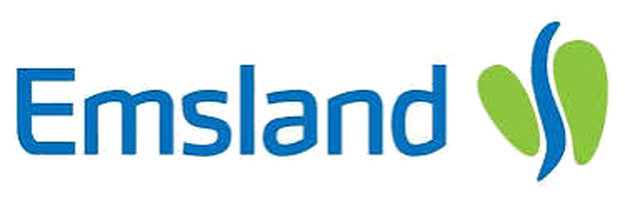 Landkreis Emsland Logo